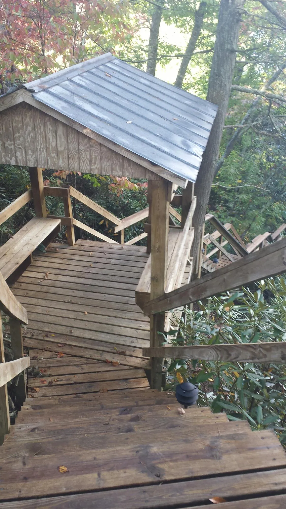 Metal roofed shelter over wooden steps on a wooded walkway — Skylight Repair & Installation work by our crew in Kelso